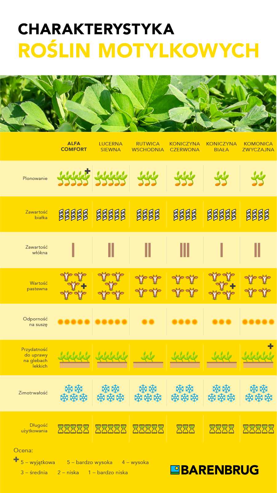 Inforgrafika motylkowe_BG_MK_ver2.png